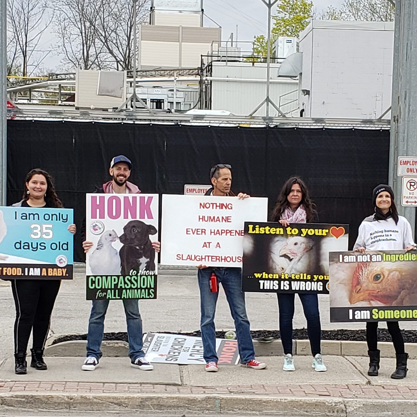Animal Save Movement