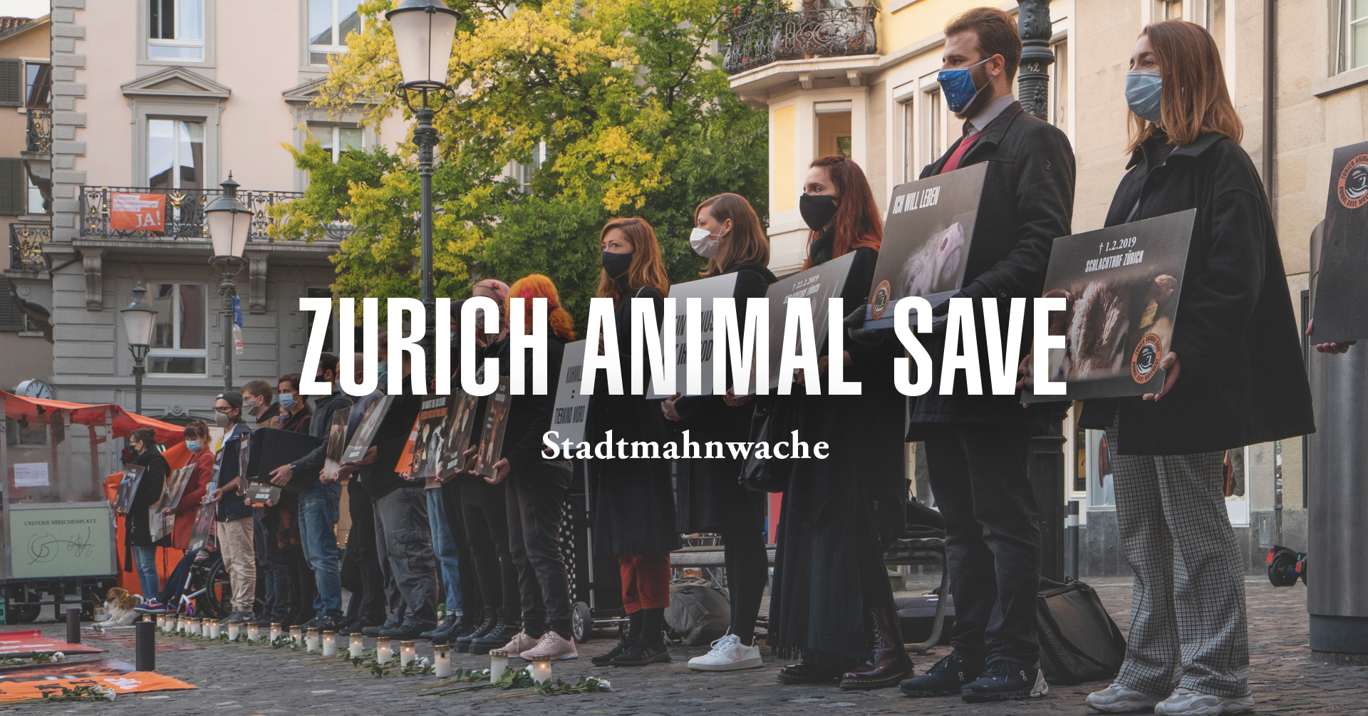 Animal Save Movement
