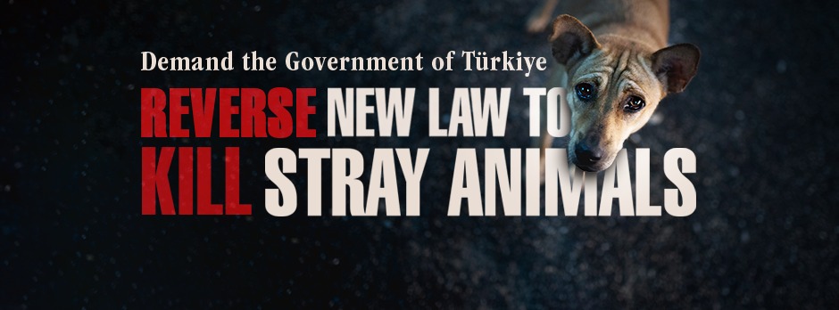 Animal Save Movement