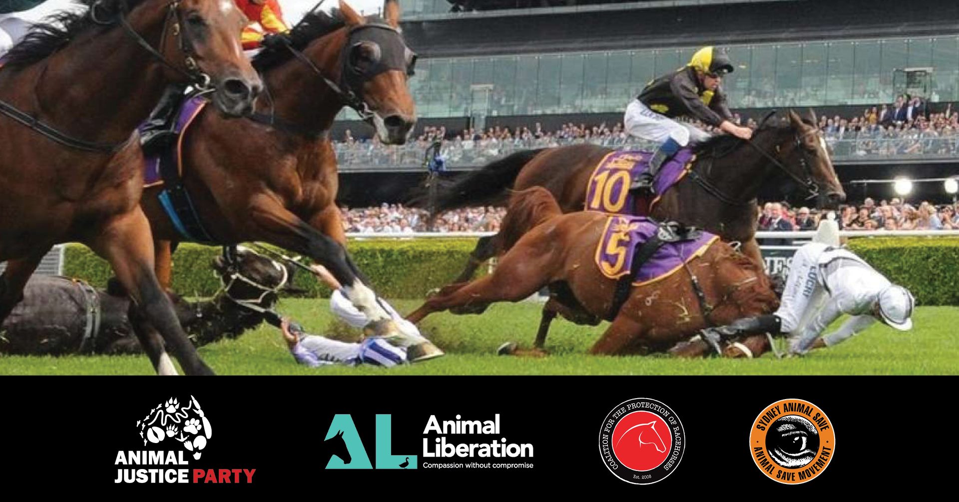 Animal Save Movement