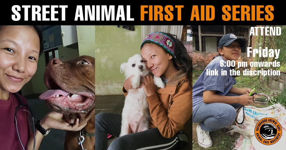 Animal Save Movement
