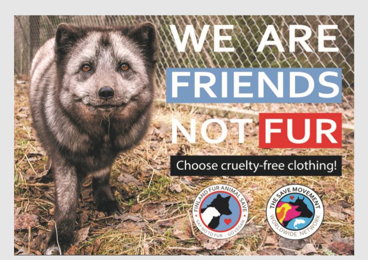 Animal Save Movement