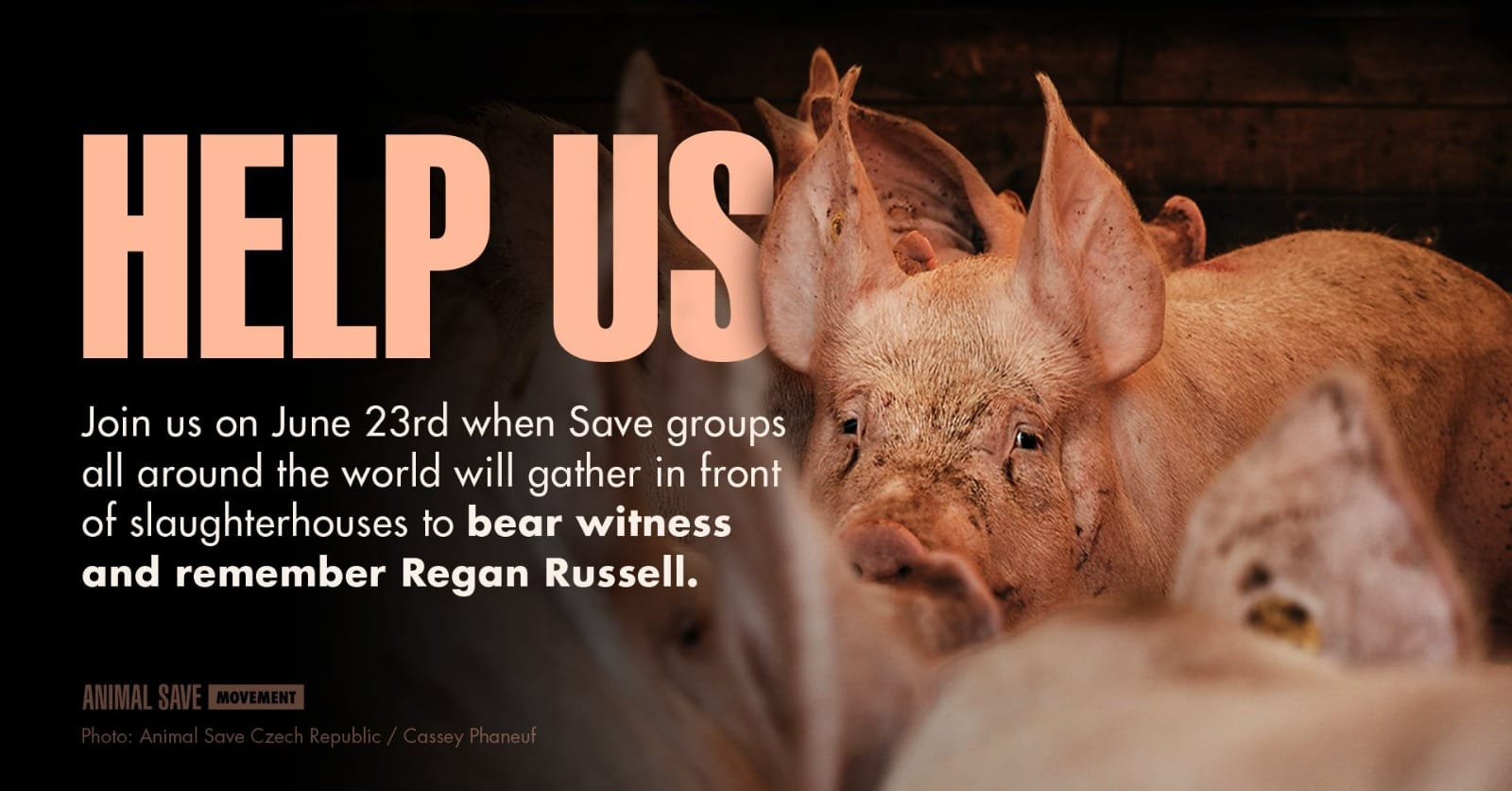 Animal Save Movement