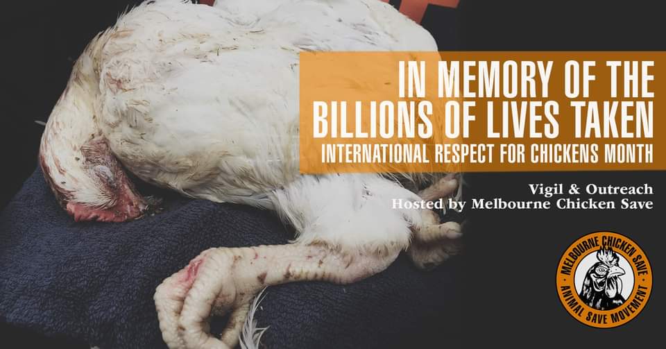 Animal Save Movement