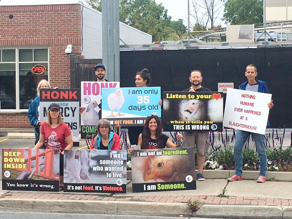 Animal Save Movement