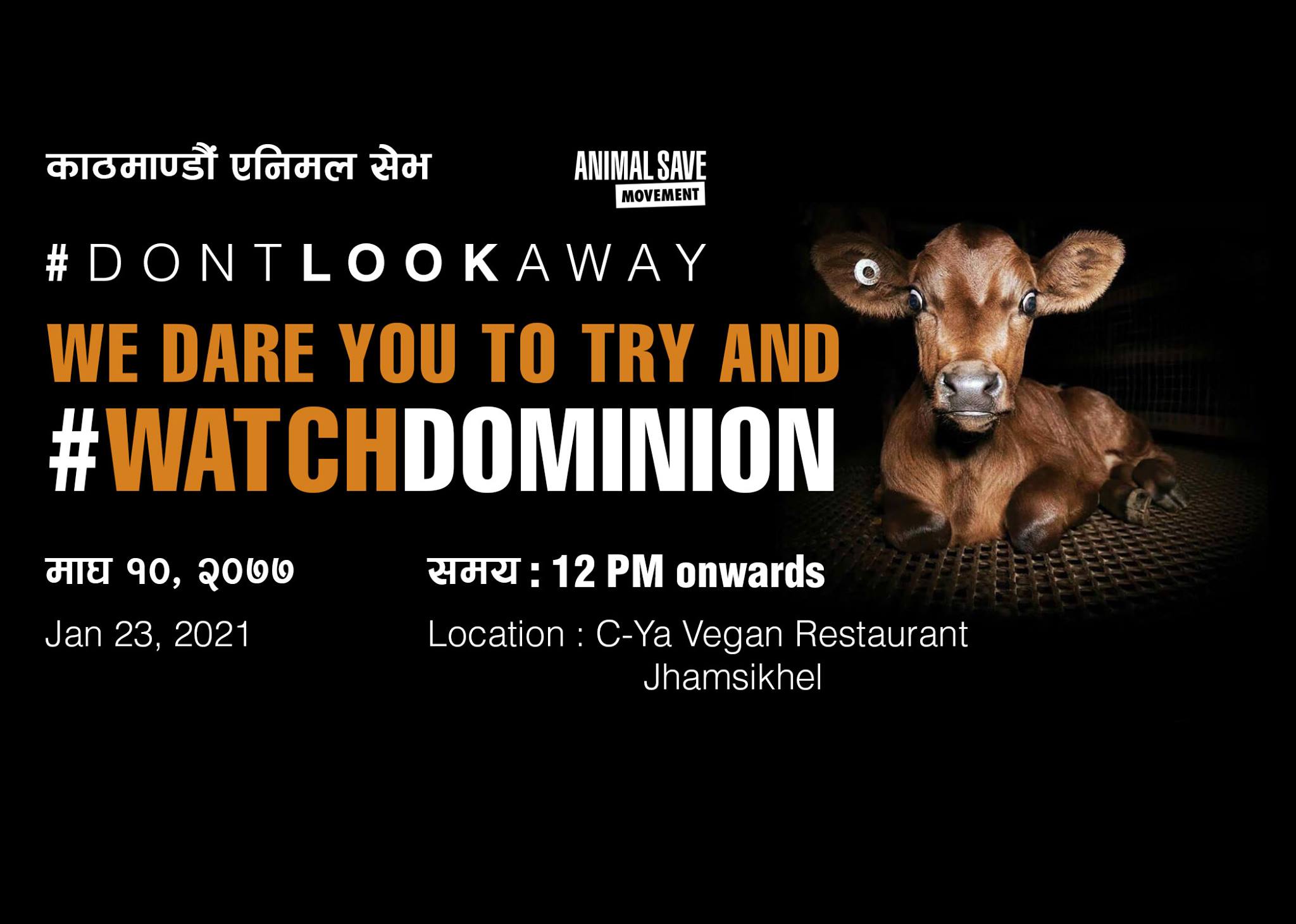 Animal Save Movement