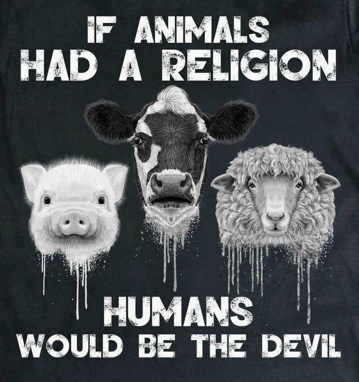 Animal Save Movement