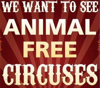 Animal Save Movement