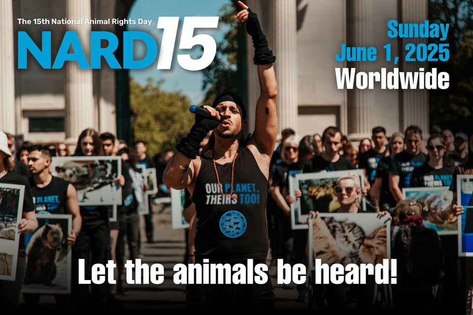 Animal Save Movement