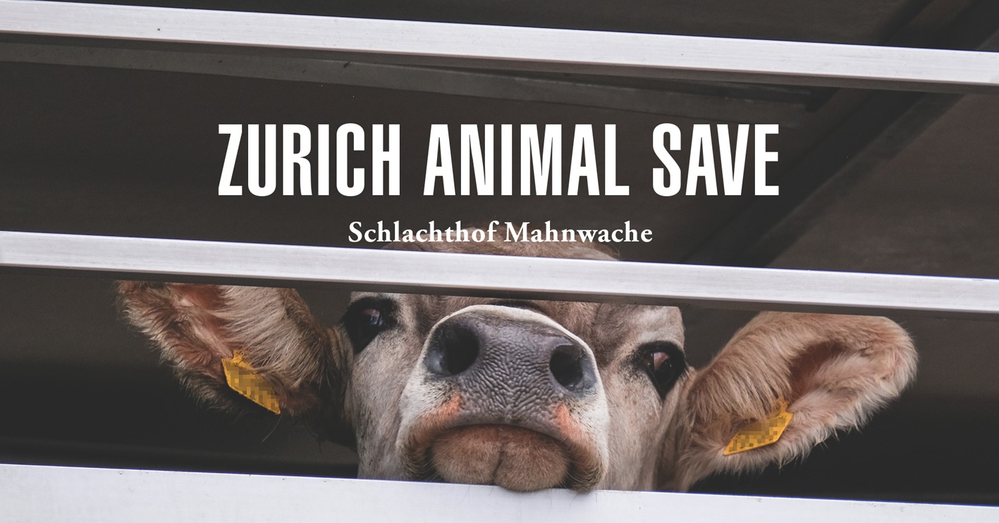 Animal Save Movement