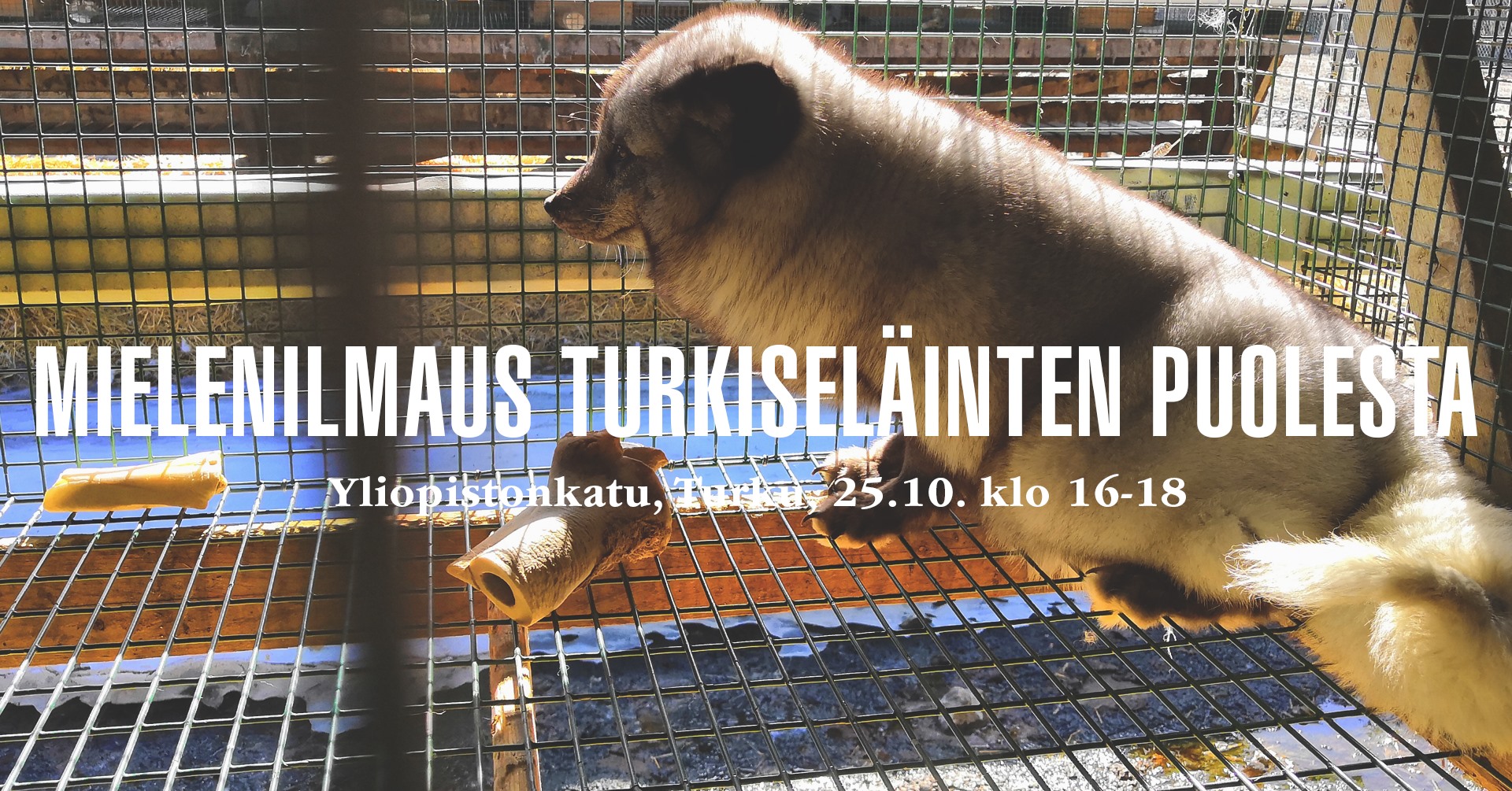 Animal Save Movement