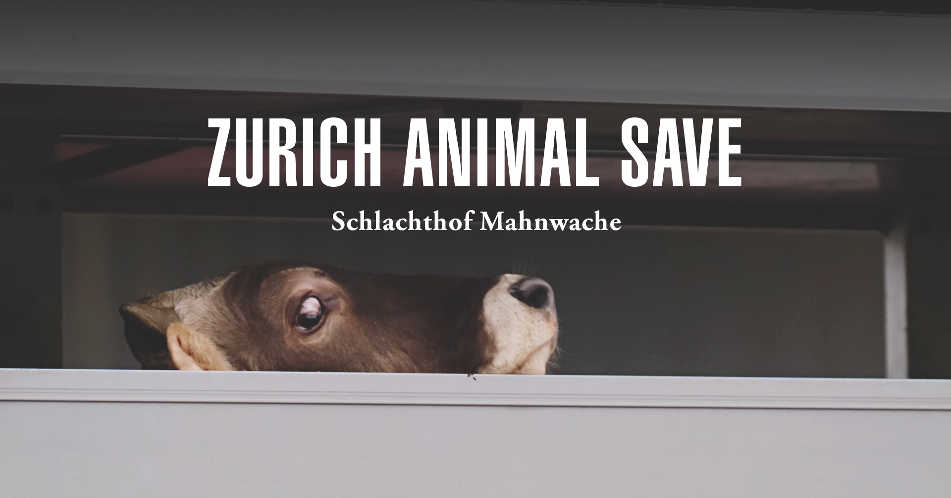 Animal Save Movement
