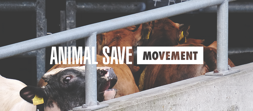 Animal Save Movement
