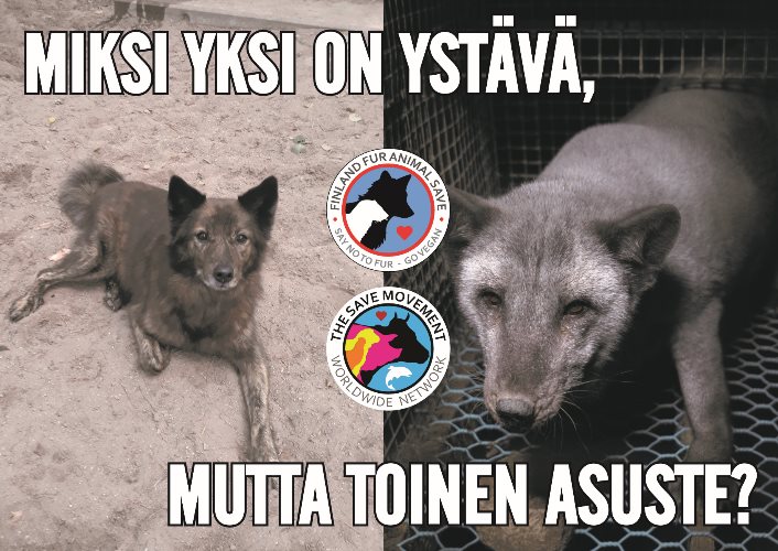 Animal Save Movement