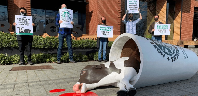 Animal Save Movement