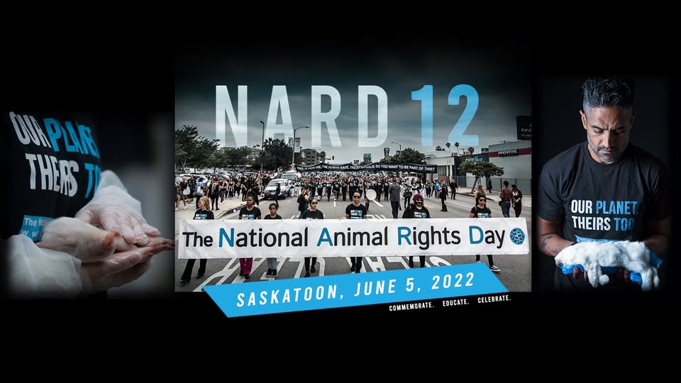 Animal Save Movement
