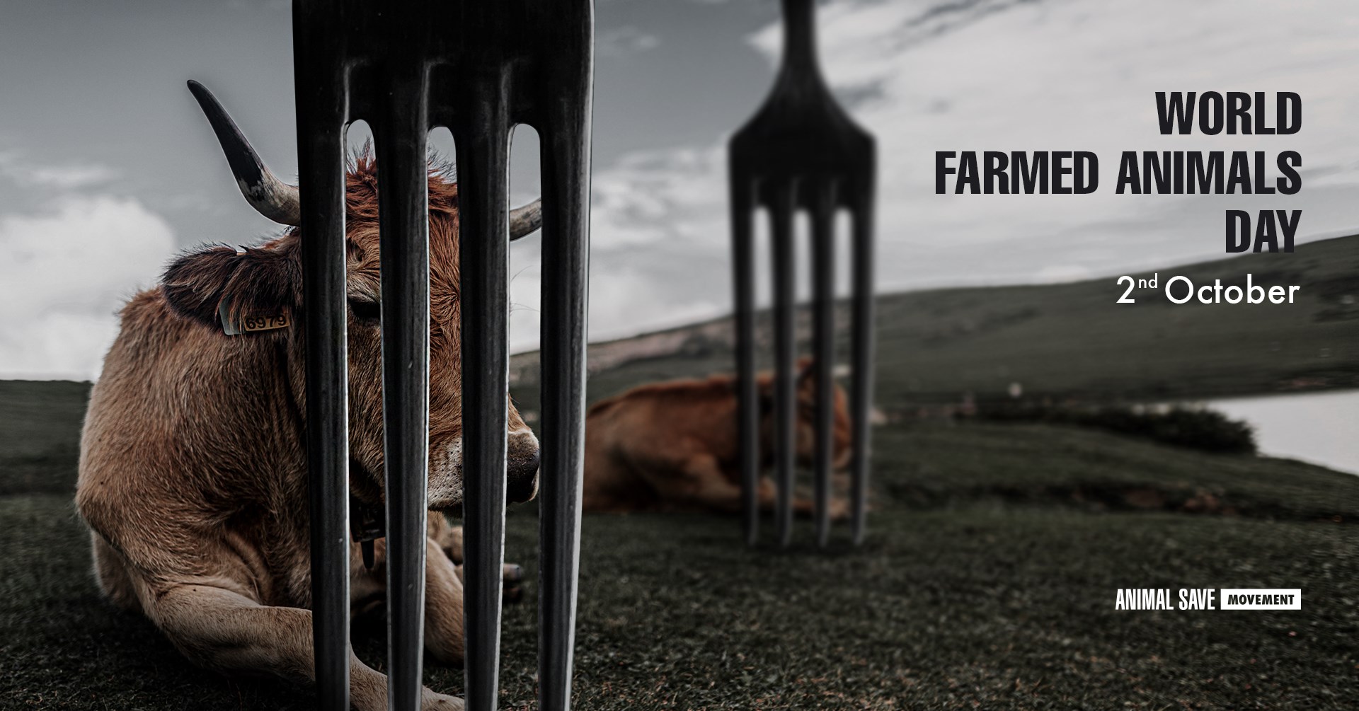 Animal Save Movement