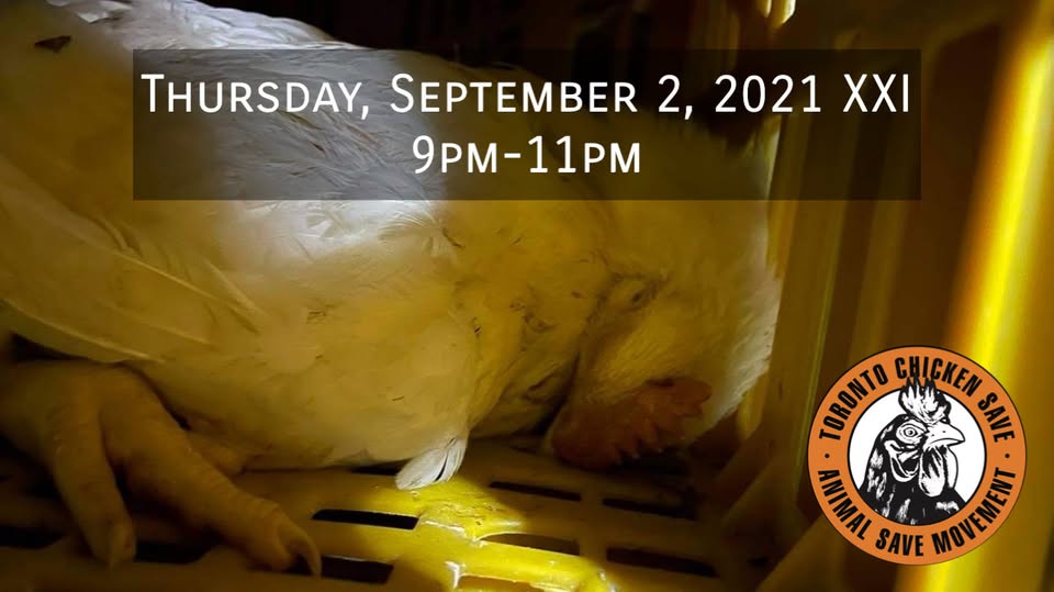Animal Save Movement