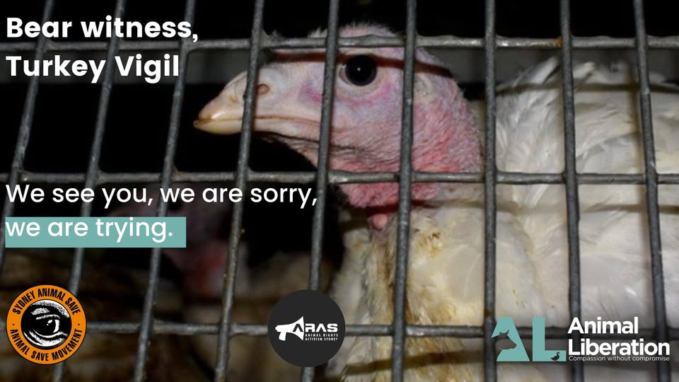 Animal Save Movement