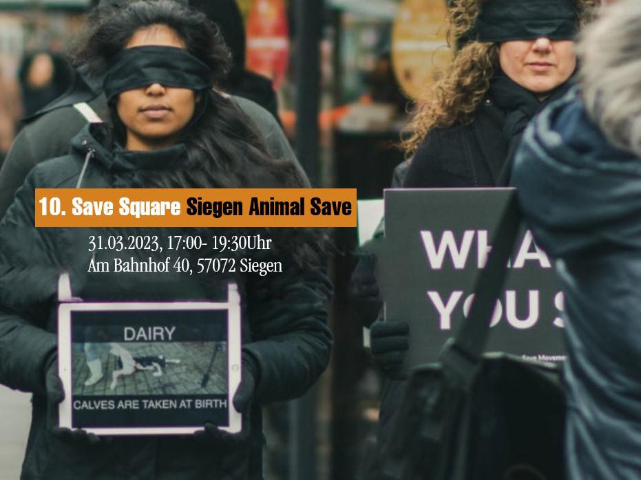 Animal Save Movement