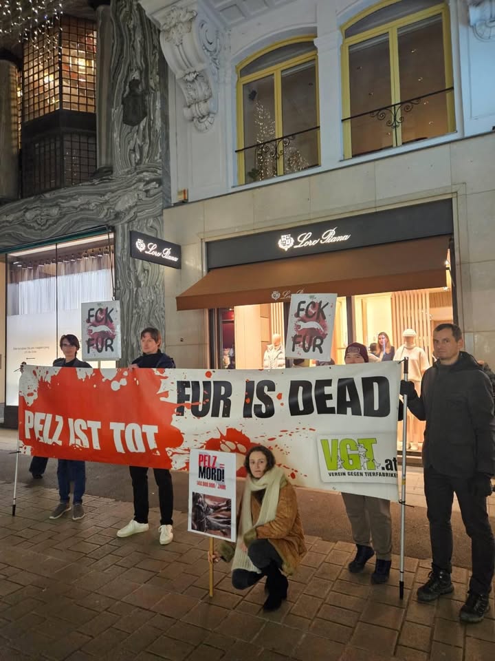 Animal Save Movement