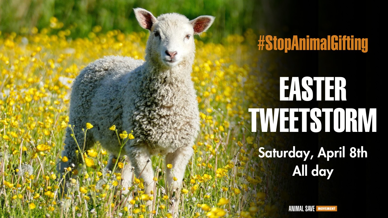 Animal Save Movement