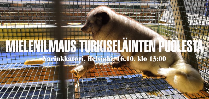 Animal Save Movement