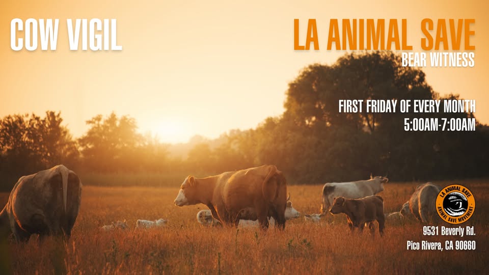 Animal Save Movement