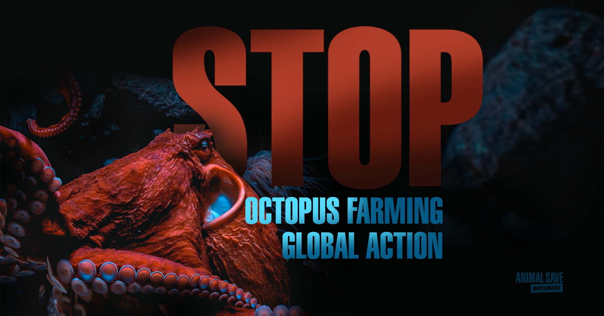 Animal Save Movement
