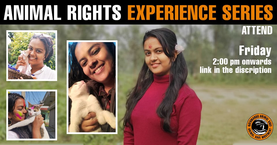 Animal Save Movement