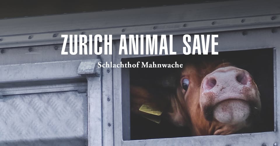 Animal Save Movement