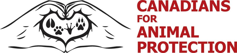 Animal Save Movement