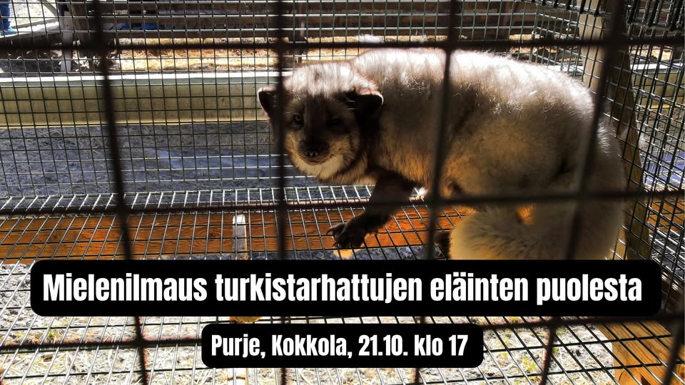 Animal Save Movement