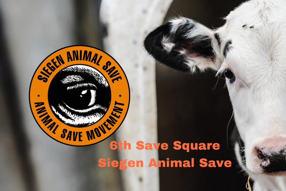 Animal Save Movement