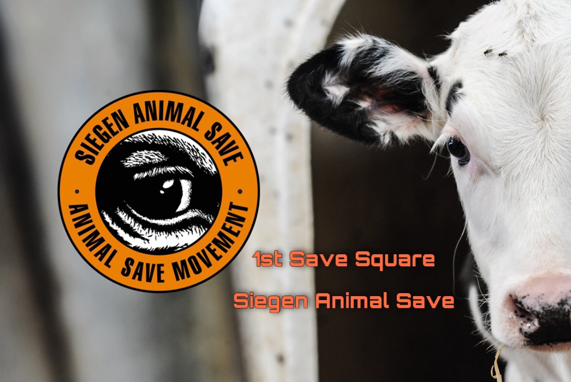 Animal Save Movement