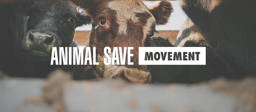 Animal Save Movement