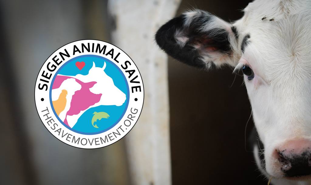 Animal Save Movement