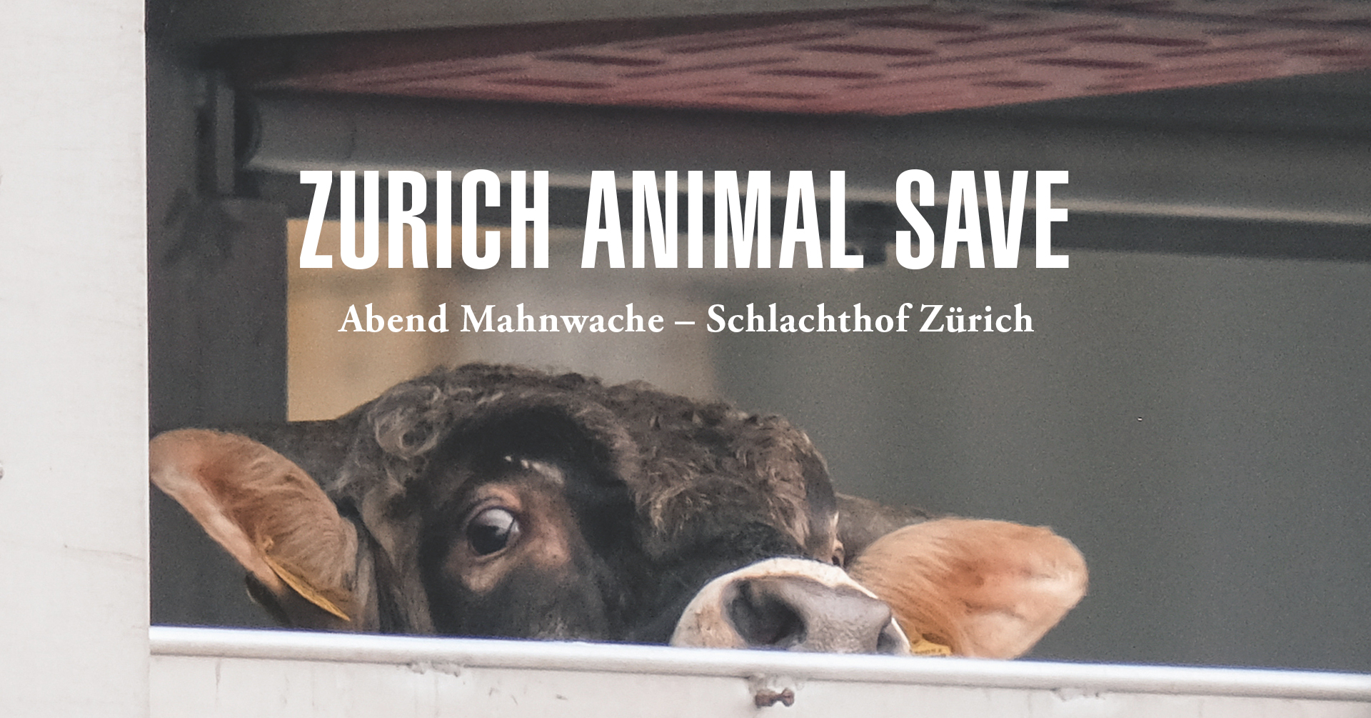 Animal Save Movement