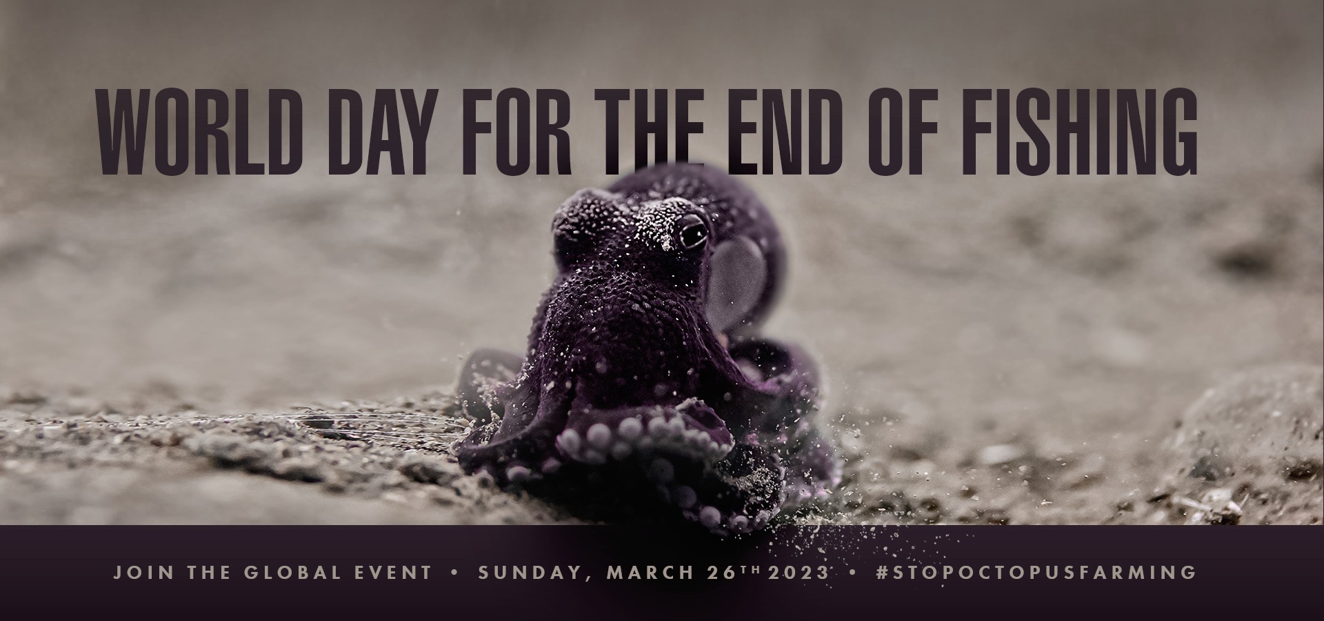 Animal Save Movement