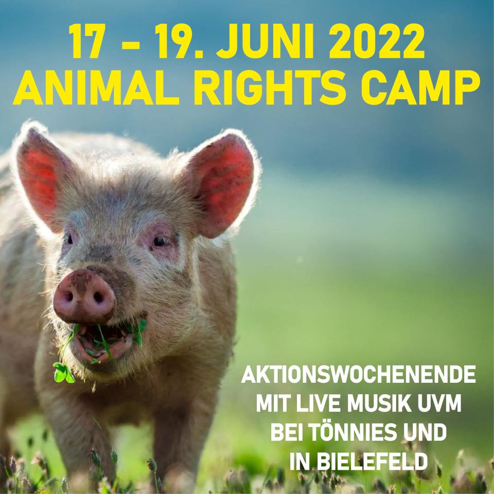Animal Save Movement