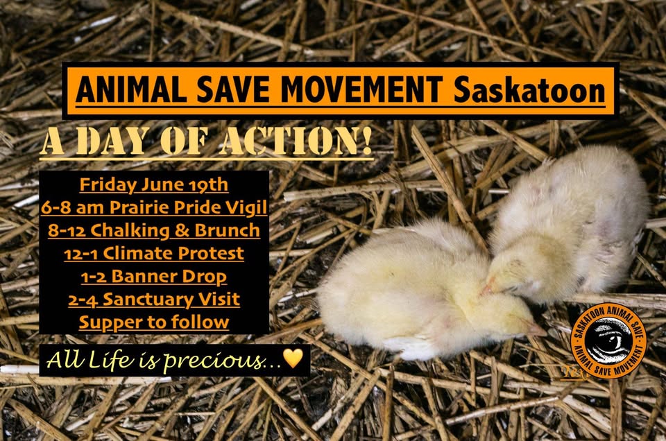 Animal Save Movement