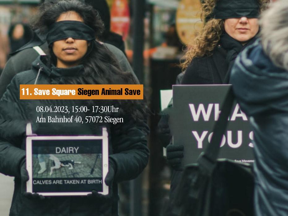 Animal Save Movement