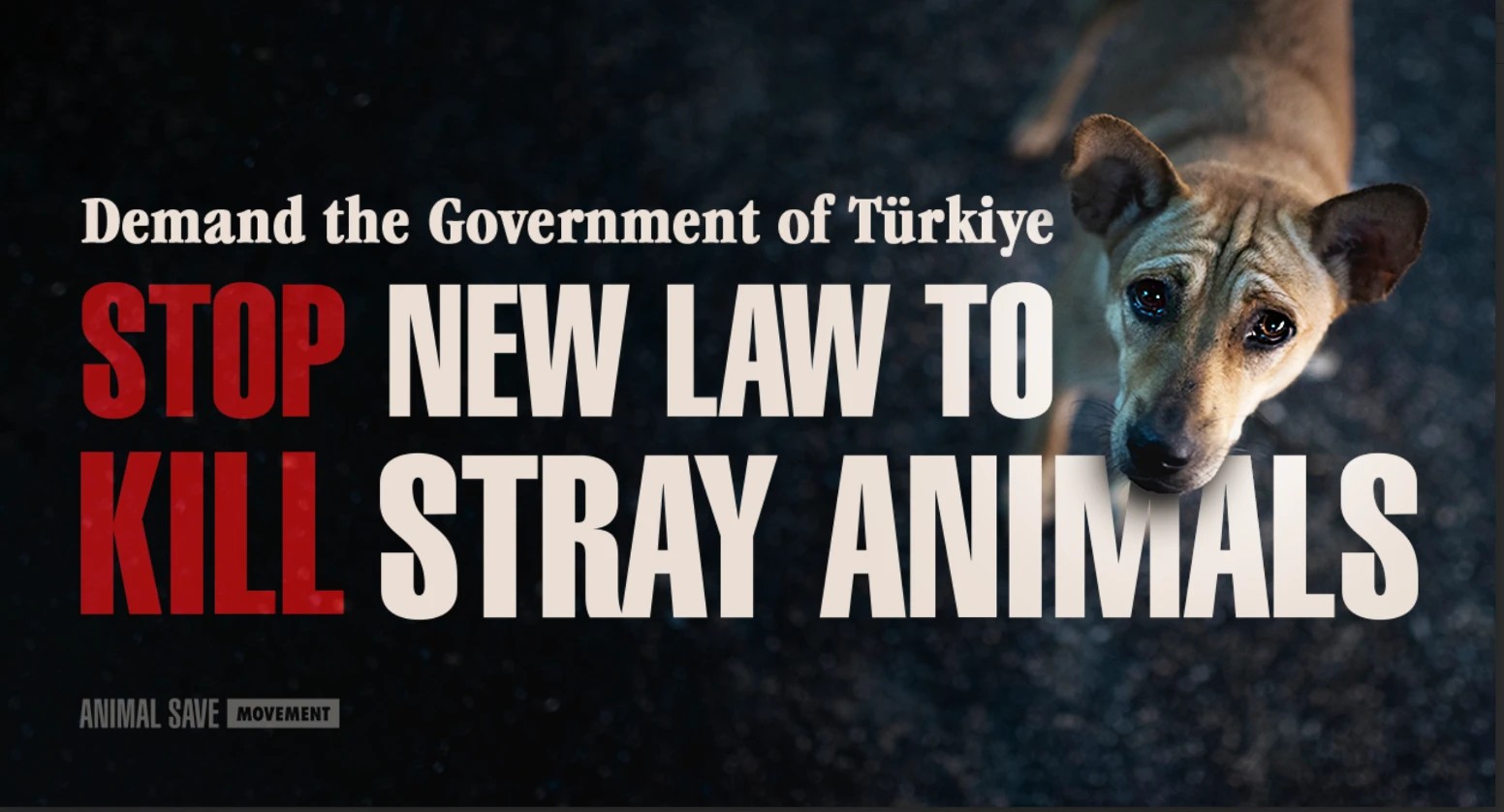Animal Save Movement