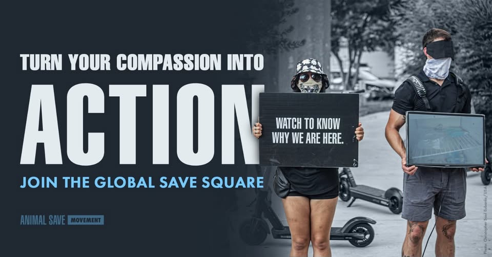 Animal Save Movement