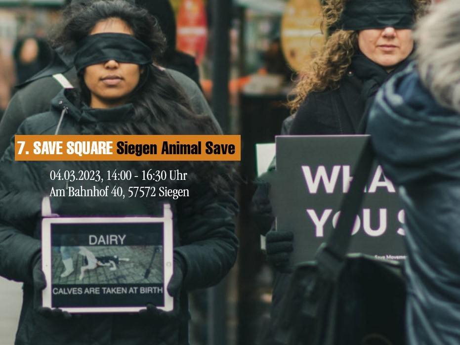 Animal Save Movement