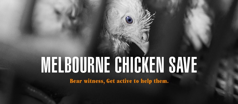 Animal Save Movement