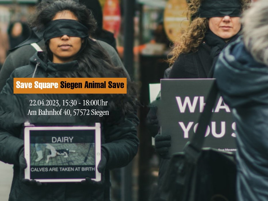 Animal Save Movement