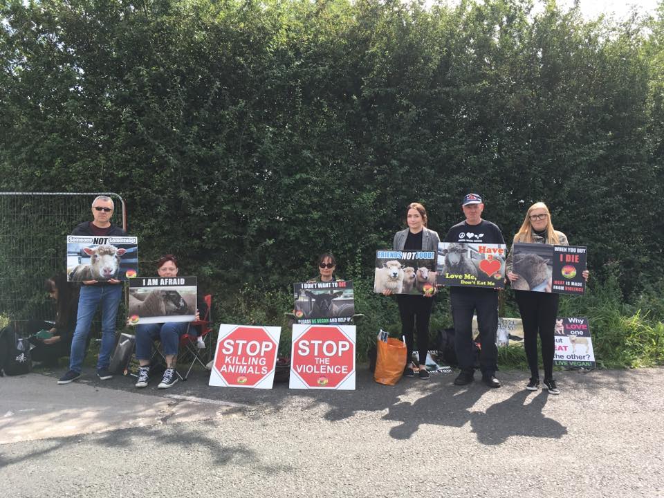 Animal Save Movement