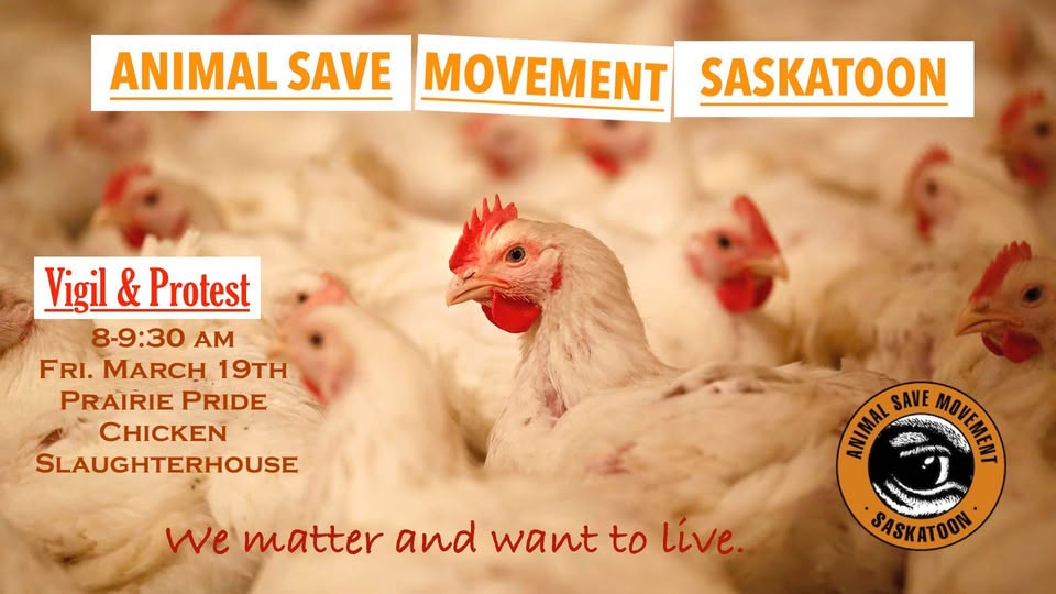 Animal Save Movement