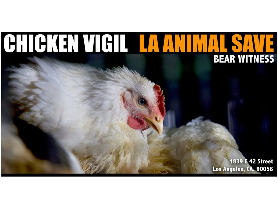 Animal Save Movement